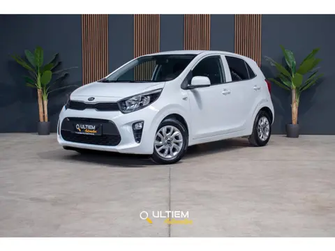 Kia Picanto 1.0 2020 | Comfort Nette Staat