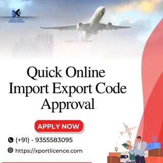 Quick Online Import Export Code Approval