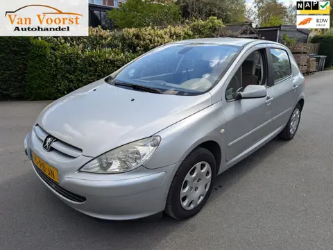 Peugeot 307 1.6-16V XT automaat * nieuwe apk *