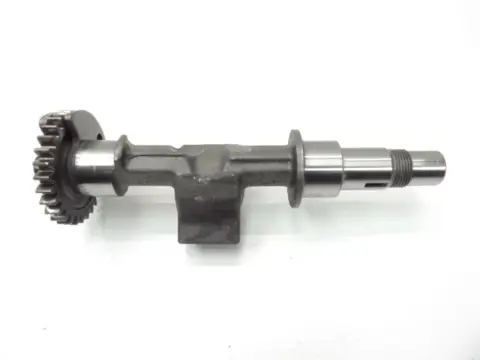 MOTORBLOK DIVERSE Aprilia RSV 1000 2006 - 2008