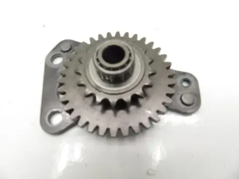 MOTORBLOK DIVERSE Aprilia RSV 1000 2006 - 2008