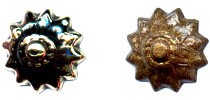 Siernagel Sterre