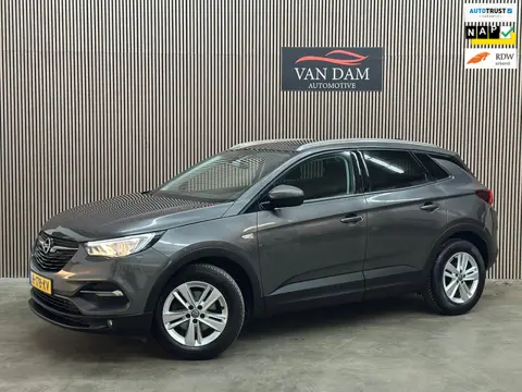 Opel Grandland X 1.2 Turbo Business Executive 2020 NAP LED CAR-PLAY