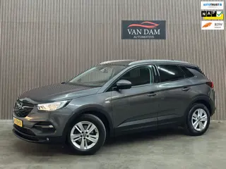 Opel Grandland X 1.2 Turbo Business Executive 2020 NAP LED CAR-PLAY