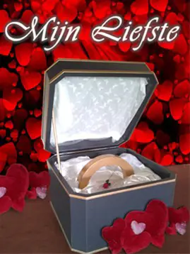 Aanzoek bruiloft huwelijk romantische setting decor