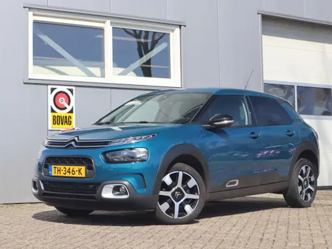 Citroën C4 Cactus 1.2 PureTech Shine / Dealer onderhouden / Camera / Carplay