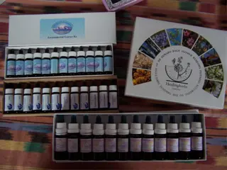 Bloesemtherapie op maat voor mens en dier