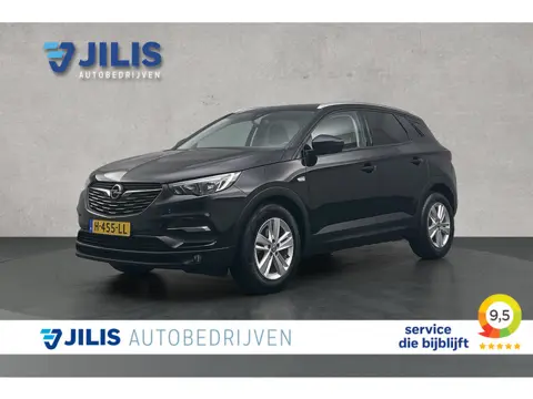 Opel Grandland X 1.2 Turbo Business Executive | Stoelverwarming | Cruise control | Apple Carplay