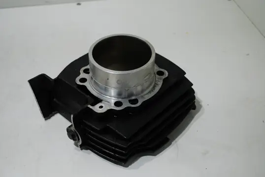 CILINDERBLOK Ducati 600 SS Supersport 1994 - 1999