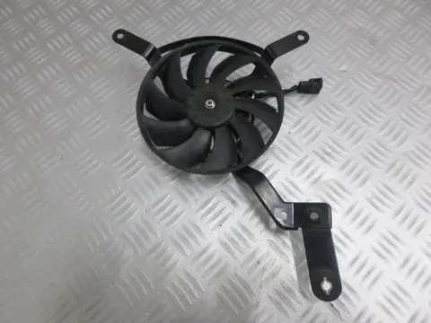 VENTILATOR Triumph Street Triple 675 2013 - 2013