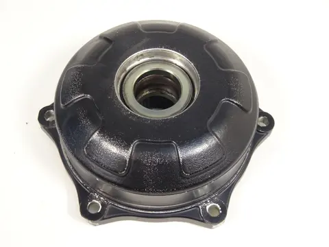 TANDWIELDRAGER Triumph Sprint ST 955 1999 - 2005