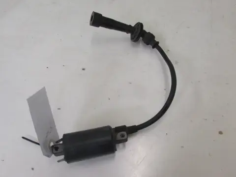 BOBINE Suzuki TL 1000 1996 - 2001