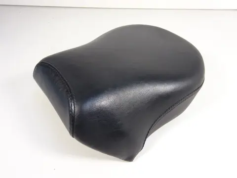 BUDDY ZADEL Harley Davidson Sportster 2014 - 2017