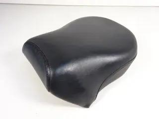 BUDDY ZADEL Harley Davidson Sportster 2014 - 2017