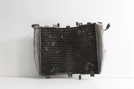 Radiator Kawasaki ZX 10 R 2004 - 2005