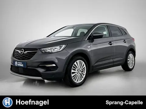 Opel Grandland X 1.2 Turbo Business Executive | Trekhaak | CarPlay | Navigatie | Cruise Control |