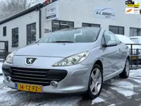 Peugeot 307 CC 2.0-16V leuke auto !
