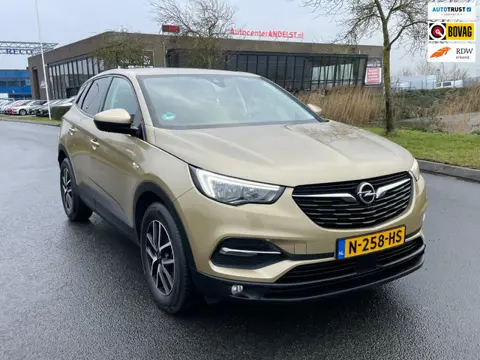 Opel Grandland X 1.2 Turbo Innovation, Aut, Trekhaak, Pdc, Stoelverw, Stuurverw, Cruise/Climate cont