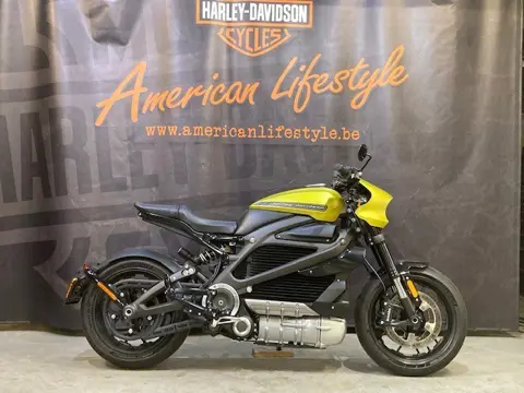 Harley-Davidson EV Electric ELW LiveWire (bj 2020)