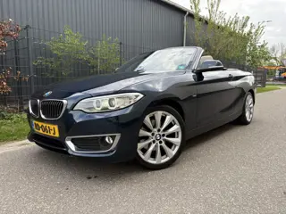 BMW 2 Serie Cabrio 220i High Executive / AUTOMAAT / NAVI / HARMAN KARDON / LEER / LUXURY / 1E EIGENA