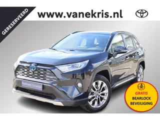 Toyota RAV4 2.5 Hybrid AWD Executive, Bearlock