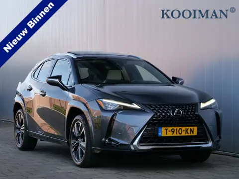 Lexus UX 250h Executive Line 184 Pk Automaat Navi / DAB / Apple Carplay / Camera / Leer / HUD / Pano