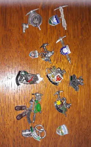 Pins