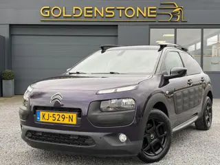 Citroen C4 Cactus 1.2 PureTech Business Plus 2e Eigenaar,Pano,Camera,Navi,Trekhaak,Pdc V+A,Clima,Cru