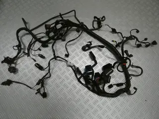 KABELBOOM Triumph Tiger 800 XRX 2018 - 2020