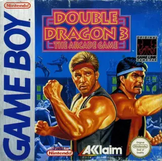 Double Dragon 3
