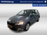 Škoda Fabia 1.0 TSI 95pk Ambition / App-Connect / Parkeersensoren Achter /