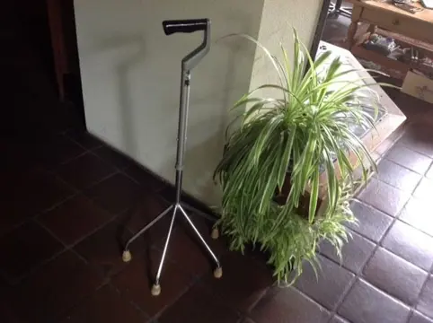 Wandelstok 4-poot verstelbaar