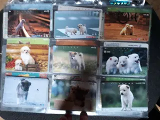 Telefoonkaarten honden