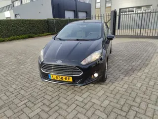 Ford Fiesta 1.0 Titanium (bj 2013)