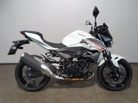 Kawasaki Z 400 (bj 2024)