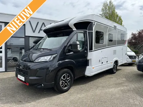 Dethleffs Trend  T6817