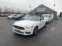 Ford Mustang Convertible 2.3 EcoBoost 317 pk convertible zeer mooie nette auto