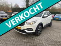Opel Grandland X 1.2 Turbo Business Executive trekhaak verkoop op afspraak