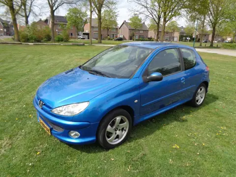 PEUGEOT 206 met nieuwe a p k 