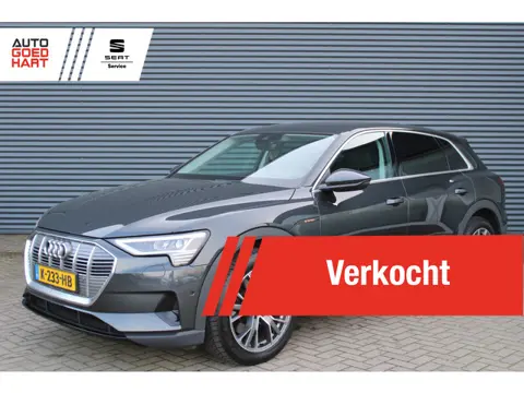 Audi e-tron 55 Quattro edition 95kWh 408PK Leer Full-Led Camera