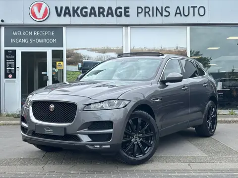 Jaguar F-Pace 2.0 Portfolio AWD 20d |PANO|STOELVW.|VIRTUAL|LED|MEMORY| 18715/