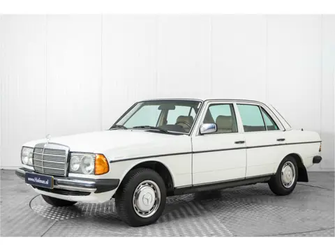 Mercedes-Benz 300d w123 300 D 5 cyl. (bj 1980)