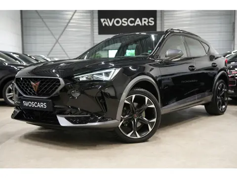 CUPRA Formentor 1.5 TSI DSG * Camera - 19" - Keyless - Sfeer - Blind Spot - ACC - App - ACC *