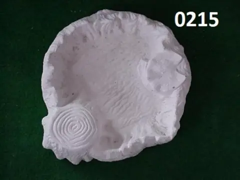 Vogelbak boomstam. nr 0215.