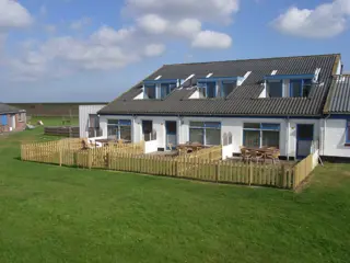 Honden en baasjes welkom op hond vriendelijk park in 't Noorden