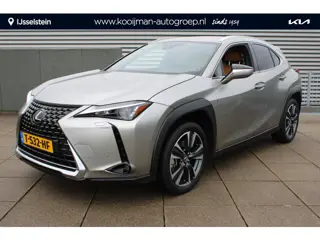 Lexus UX 250h Business Line Hybride 183 pk TREKHAAK / NAVIGATIE / LED VERLICHTING