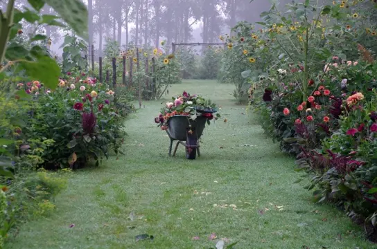 Nazomeren in de tuinen van Buurvrouw en Buurvrouw