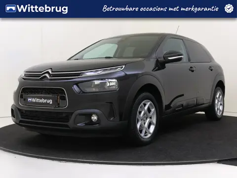 Citroën C4 Cactus 1.2 PureTech Shine (bj 2019)