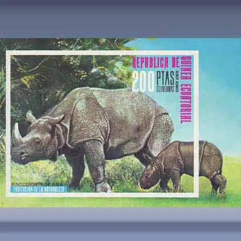 Asian Neushoorn (1976)