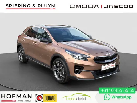 Kia Xceed 1.6 GDi PHEV ExecutiveLine | Pano | Trekhaak | Memory | Leder